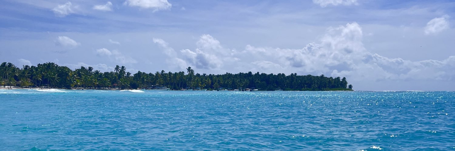 sofilackington's profile banner image