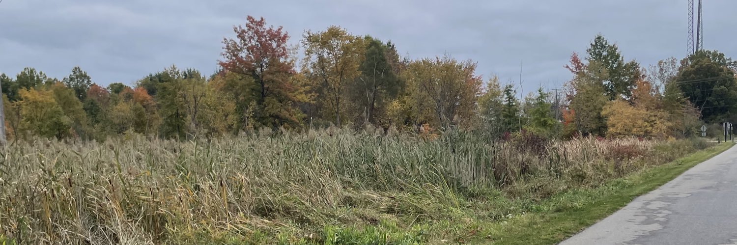 borninamoshpit's profile banner image