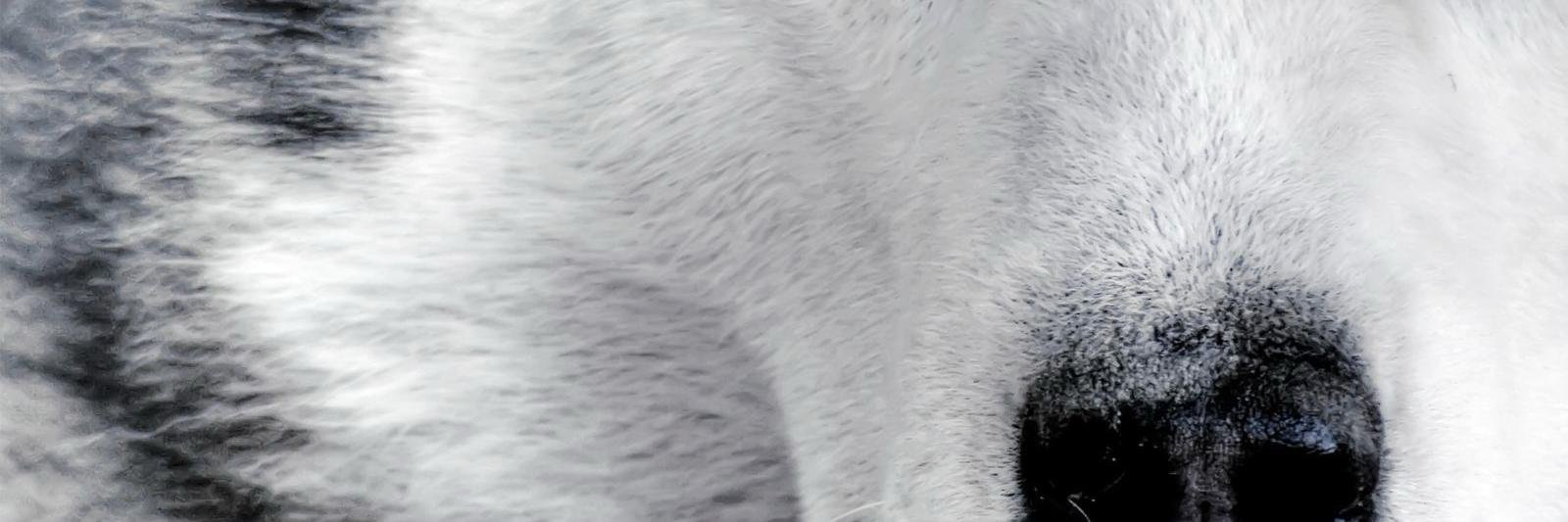 fernando14762's profile banner image