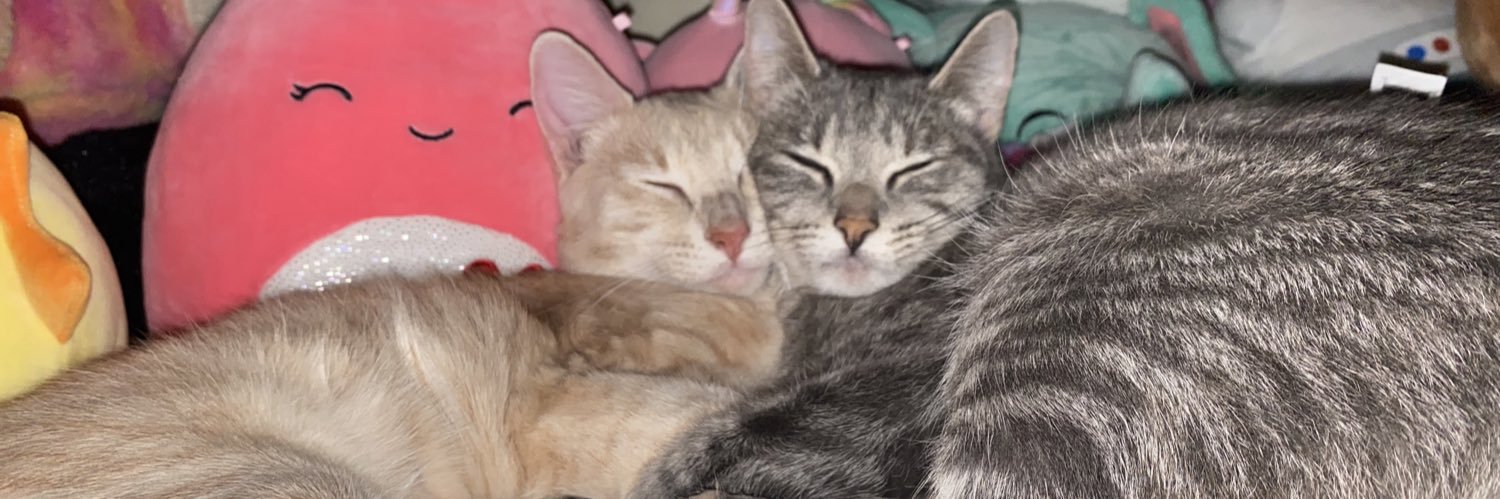 abbysoto_'s profile banner image