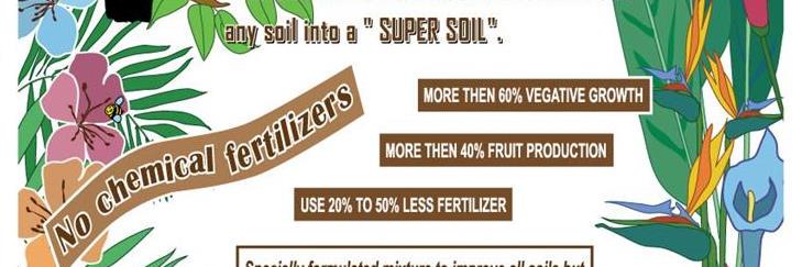 SuperBioChar's profile banner image