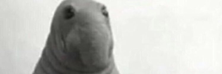 ttheeggmann's profile banner image