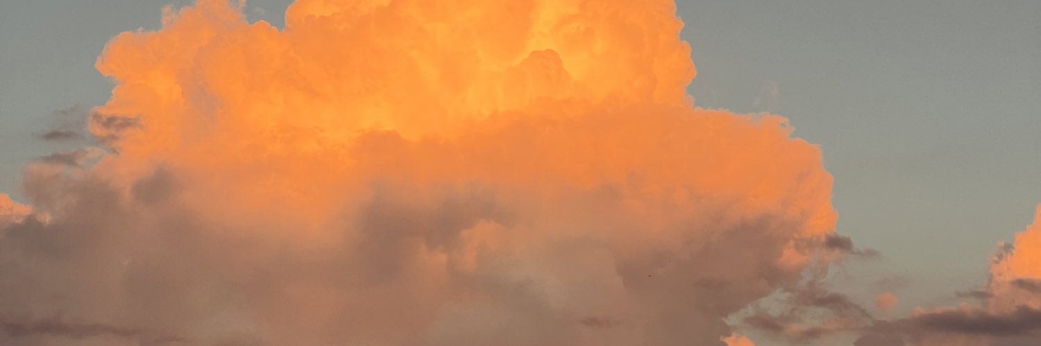 ayleencx's profile banner image