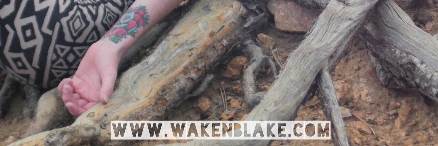 BlakeWakenblake's profile banner image