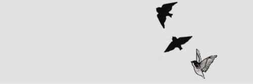 katonbhmgdr's profile banner image