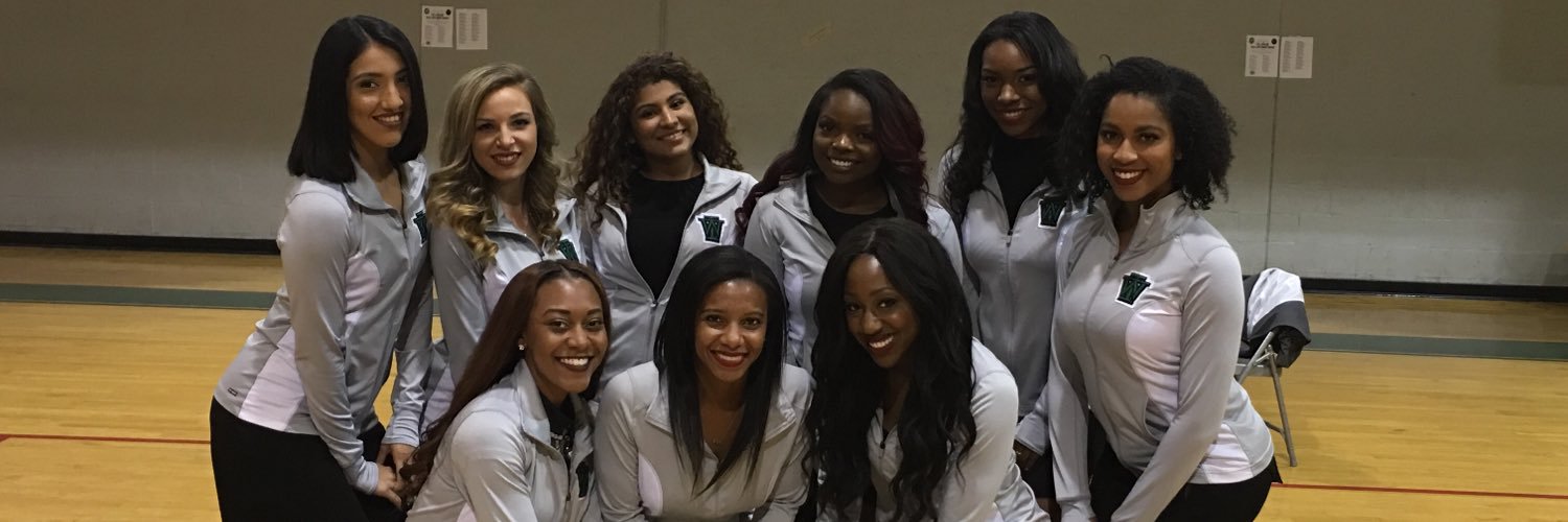 LadyHawksDT's profile banner image
