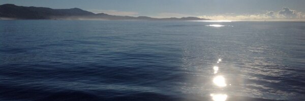 MobileMavis Profile Banner