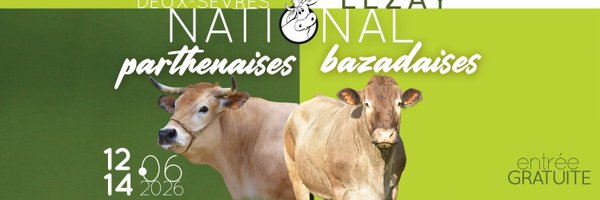 alexandre123698 Profile Banner