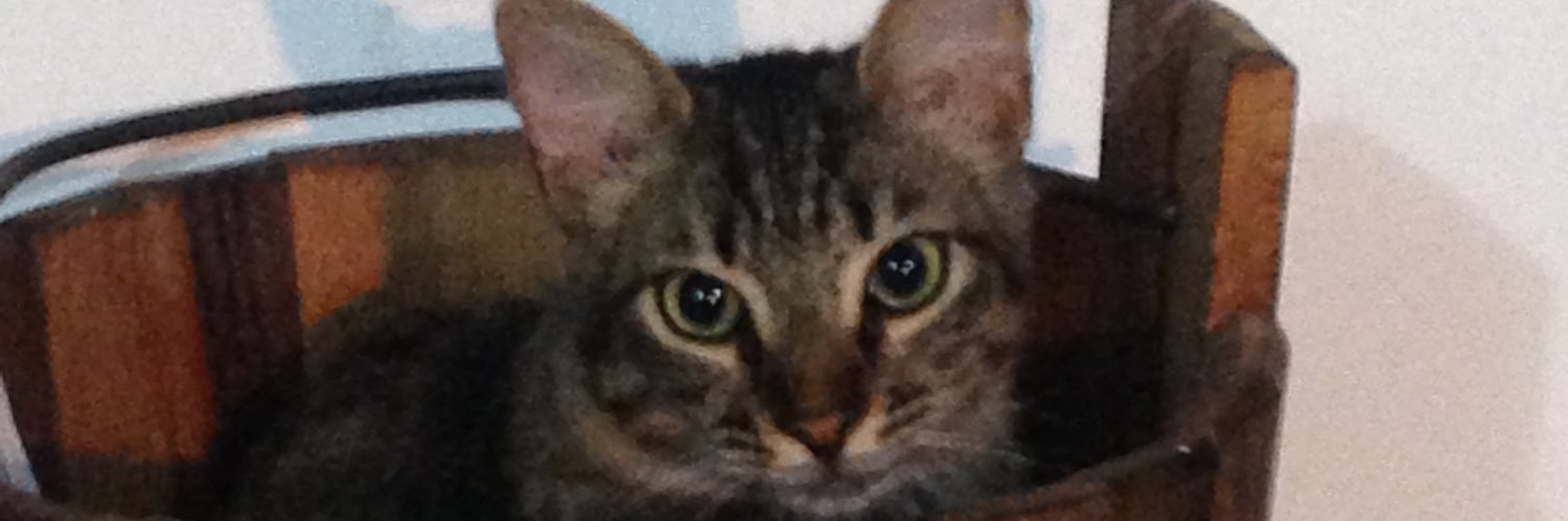 FSimenon's profile banner image