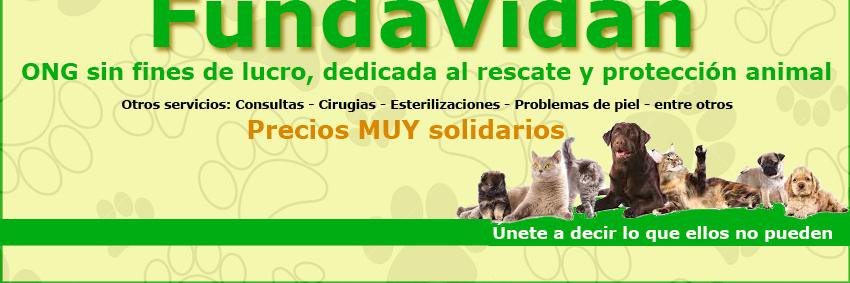Fundavidan's profile banner image