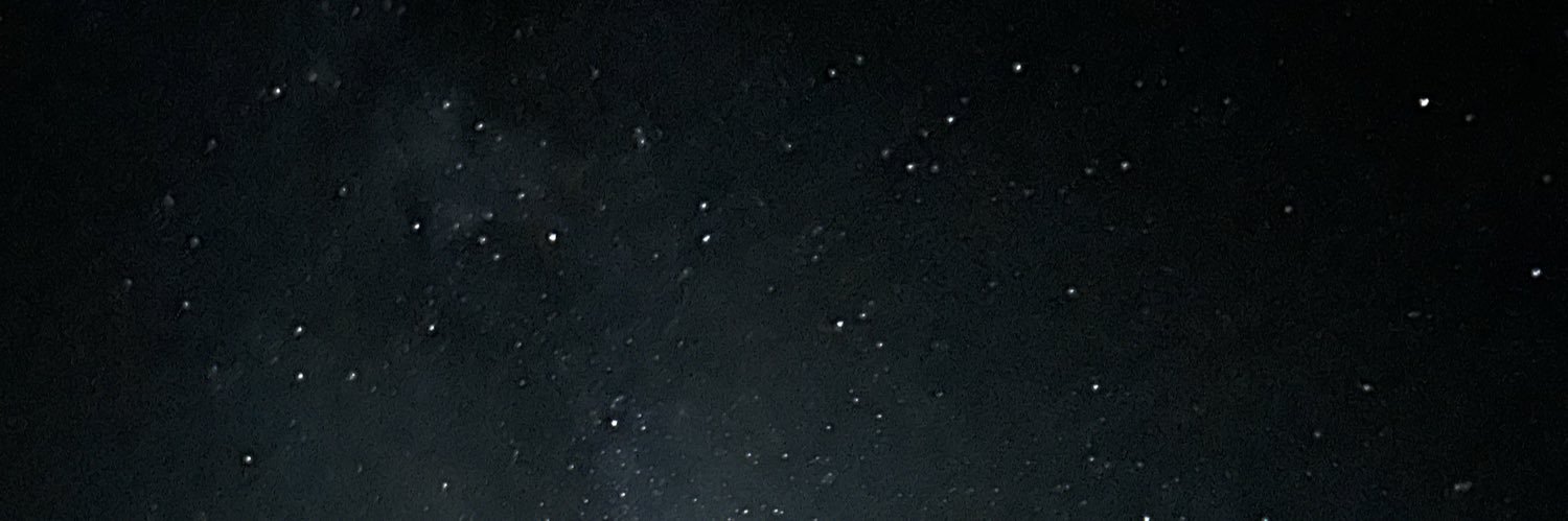 saybatscanfly's profile banner image