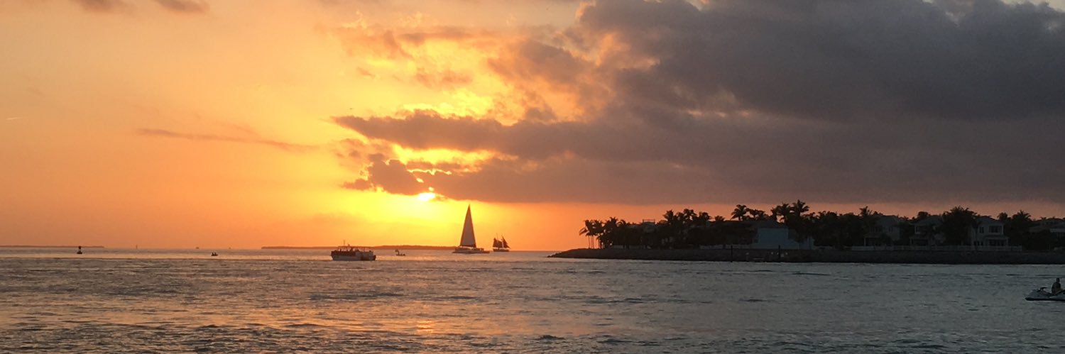 AliciaManley's profile banner image