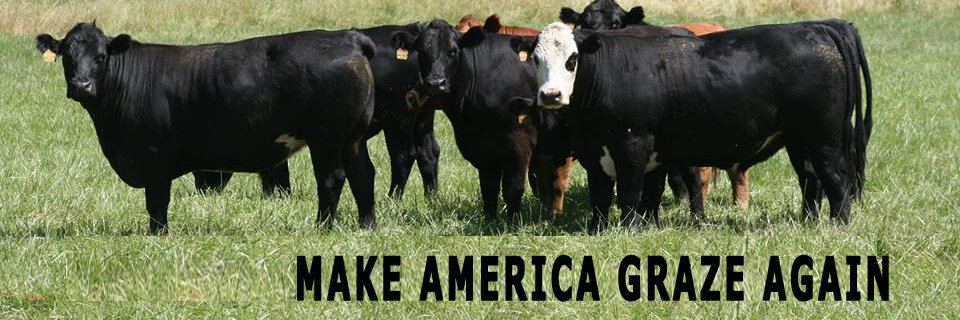 Defending Beef banner