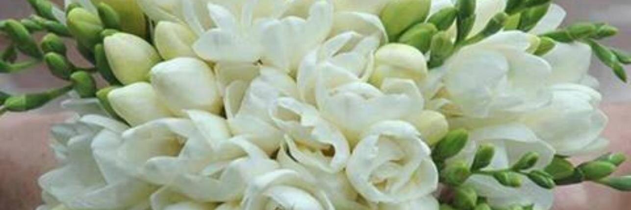ciudadanapreocu's profile banner image