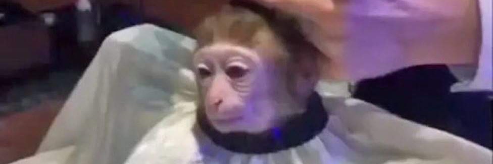 🧑🏾‍🎨 banner