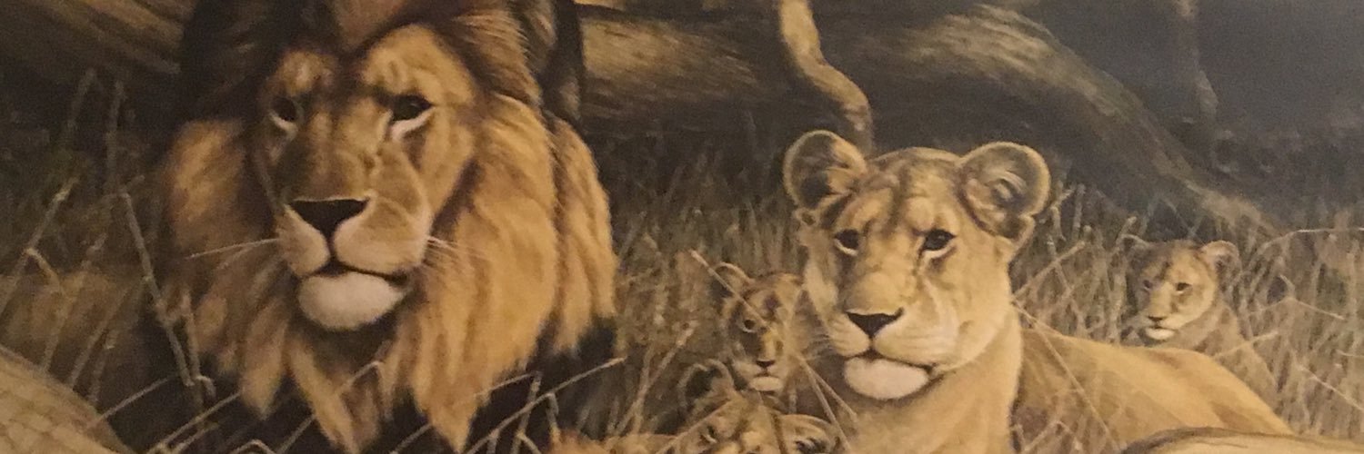 The_AnomALLy's profile banner image