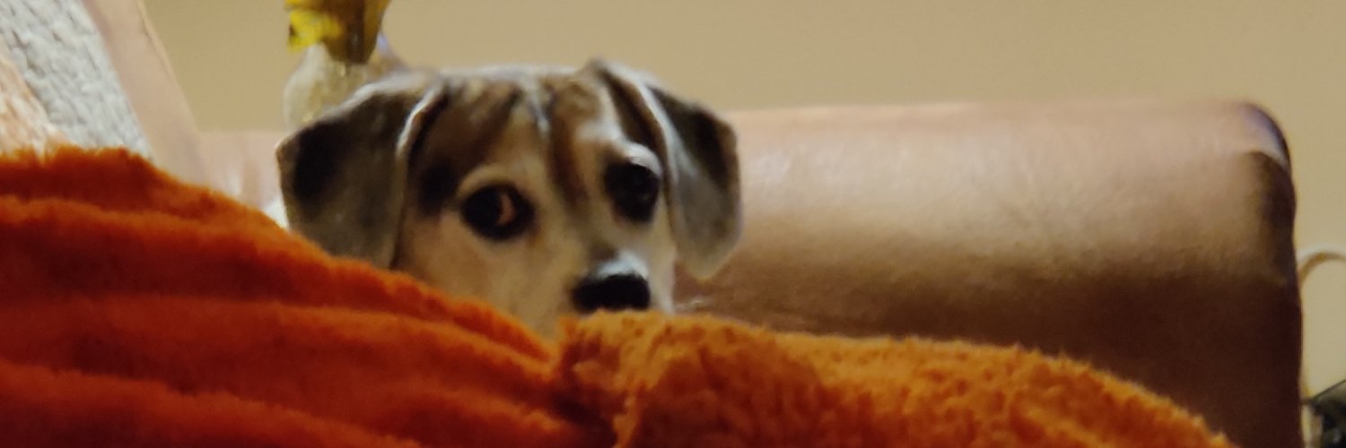 rgjd4410's profile banner image
