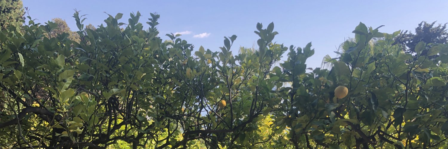 lerennie's profile banner image