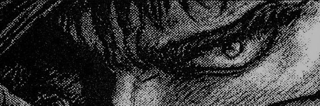 Matt banner