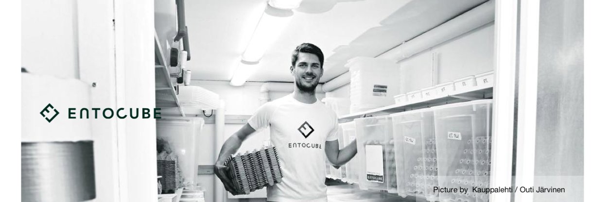 EntoCube's profile banner image