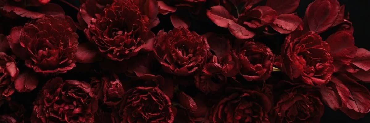 dilakacmazz's profile banner image