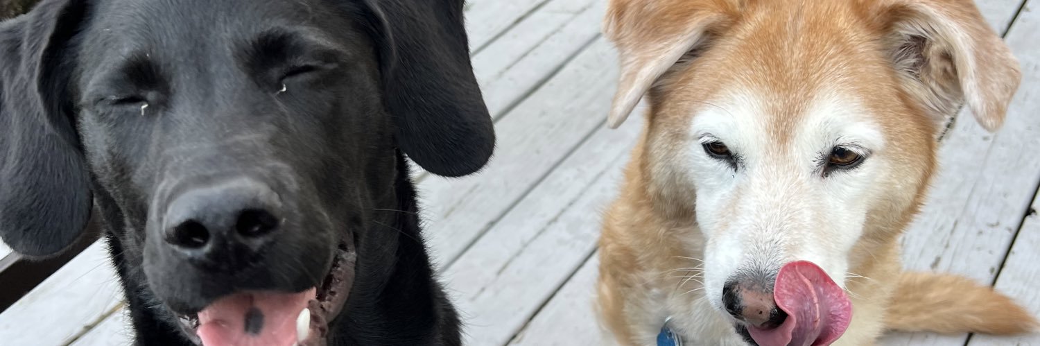 Sam_homann's profile banner image