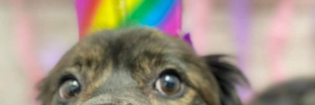 bshek43's profile banner image