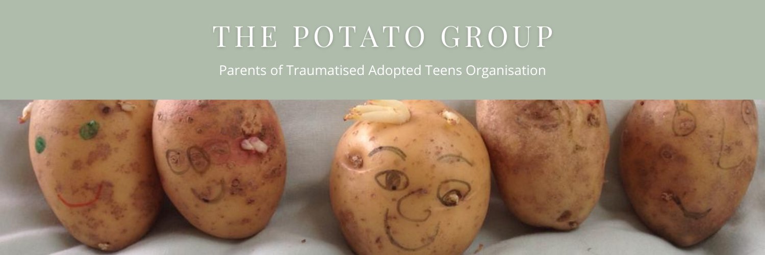 The POTATO Group banner