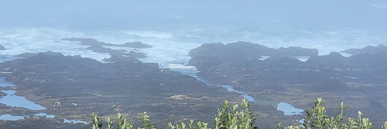 steveclaassens's profile banner image