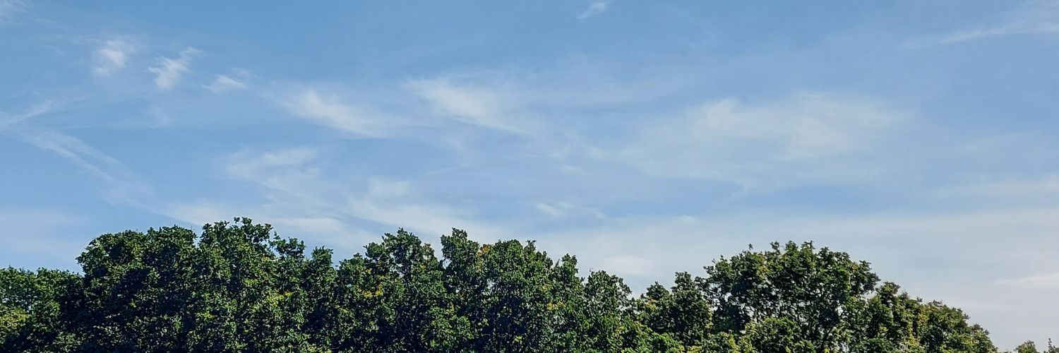 mindfulmethoduk's profile banner image