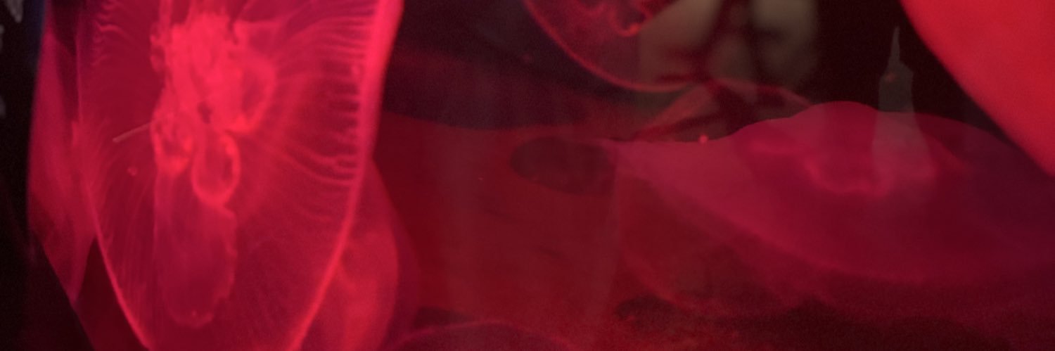 Marcus_Jack_'s profile banner image