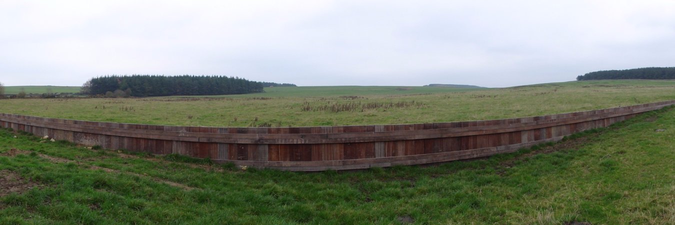 Mark Wilkinson banner