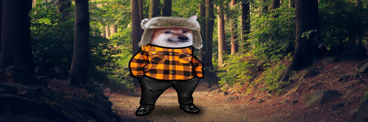 Tmetsajoki 🇫🇮🇺🇦🇪🇺 banner