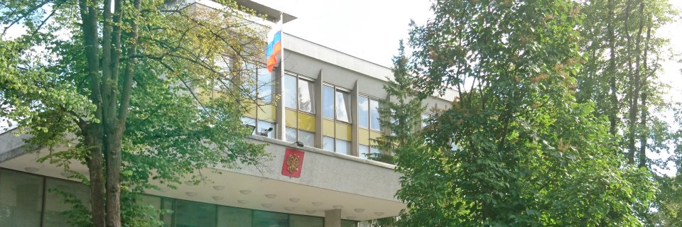 Russian Embassy, SWE's banner