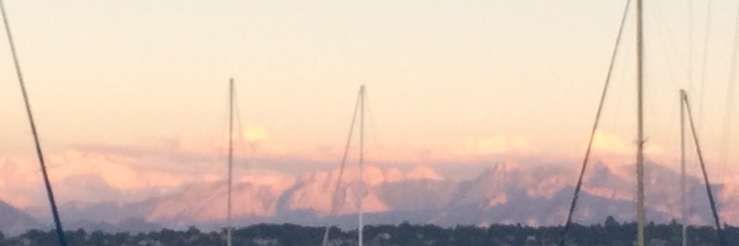 Guillermo Valles banner