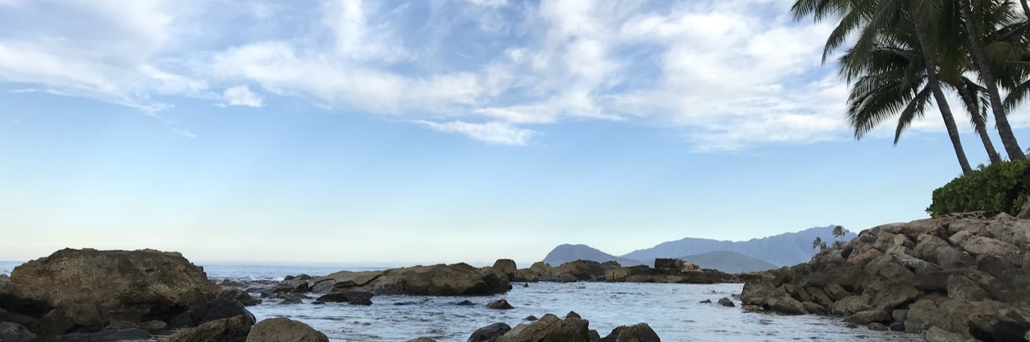 alyssabecque's profile banner image
