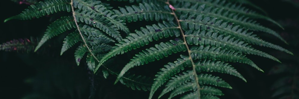 anilsentuna's profile banner image