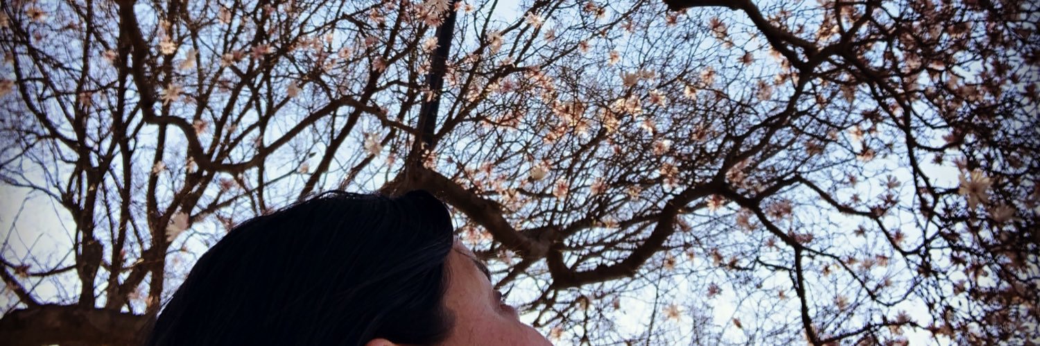 DonetSilvana's profile banner image