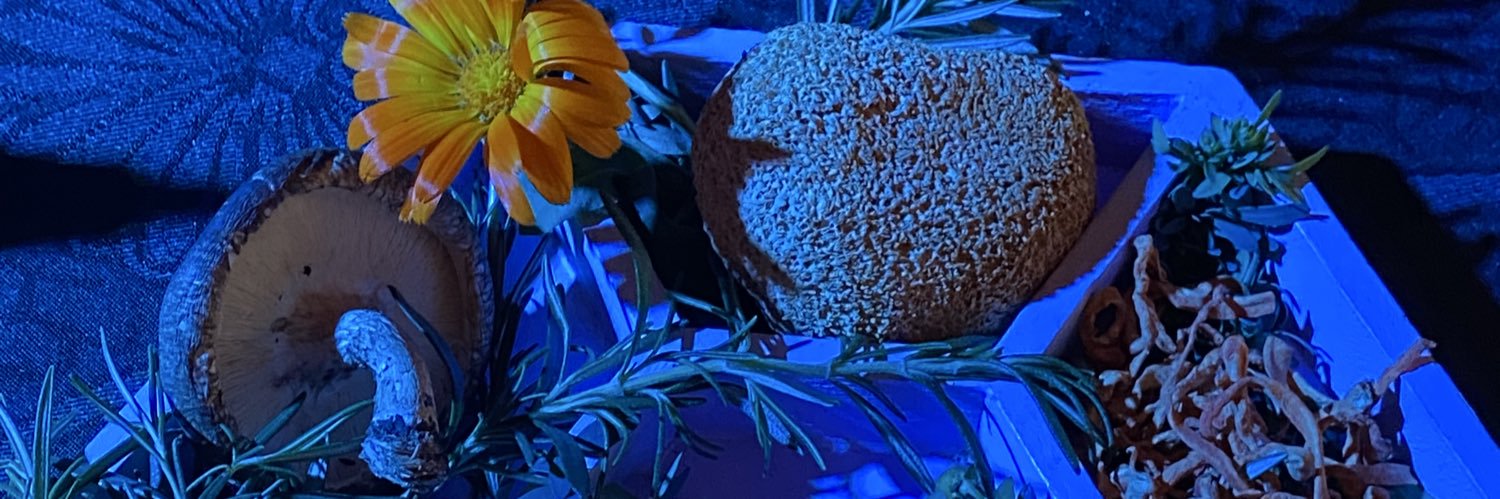 deluddere's profile banner image
