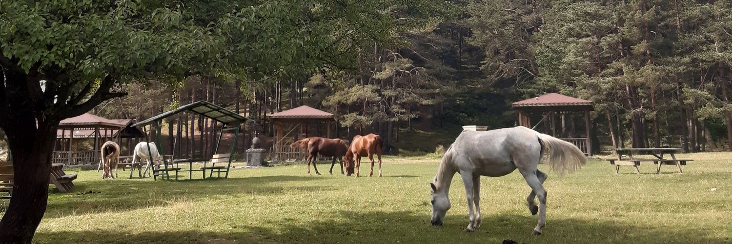 Çağla Çalışkan banner