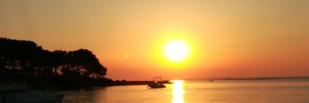 alienovero's profile banner image