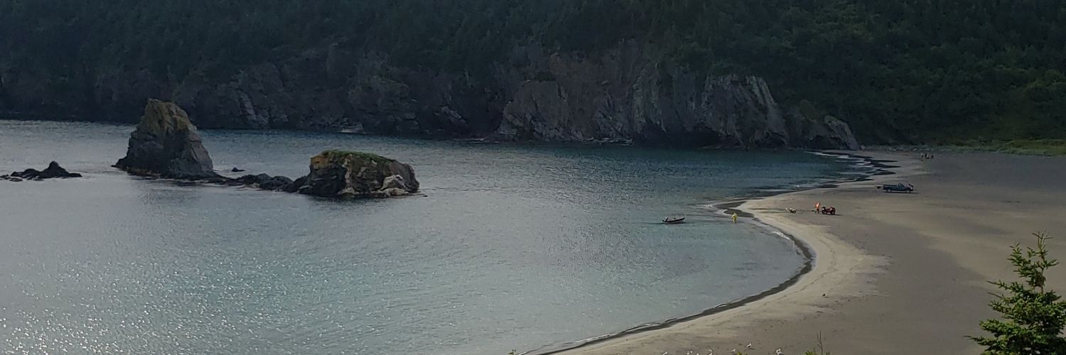 Stephanie Pittman banner