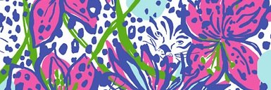 Dr. Blair Sweeney banner