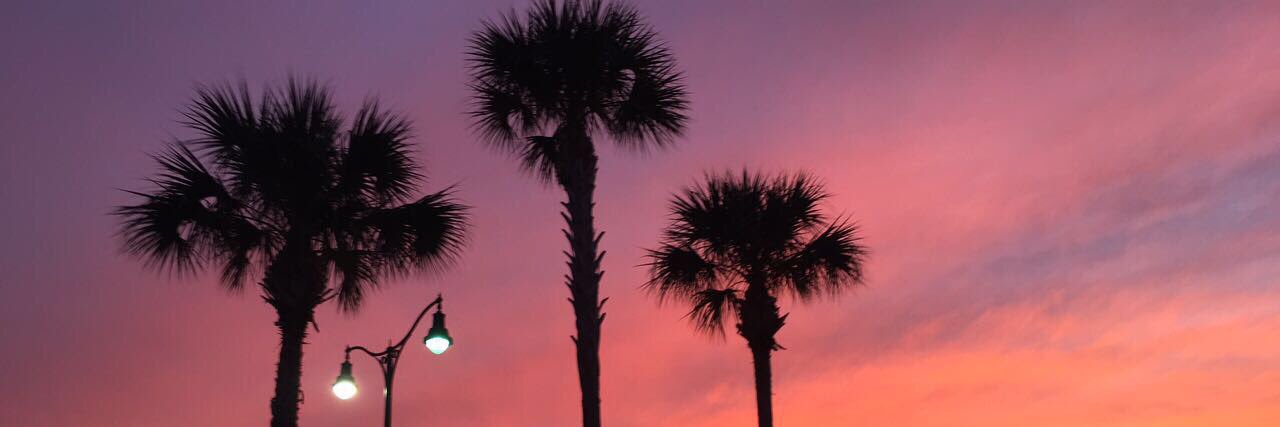 Lindsaybart0n's profile banner image