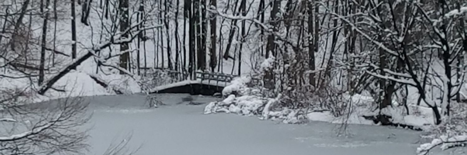 XFoosMe's profile banner image