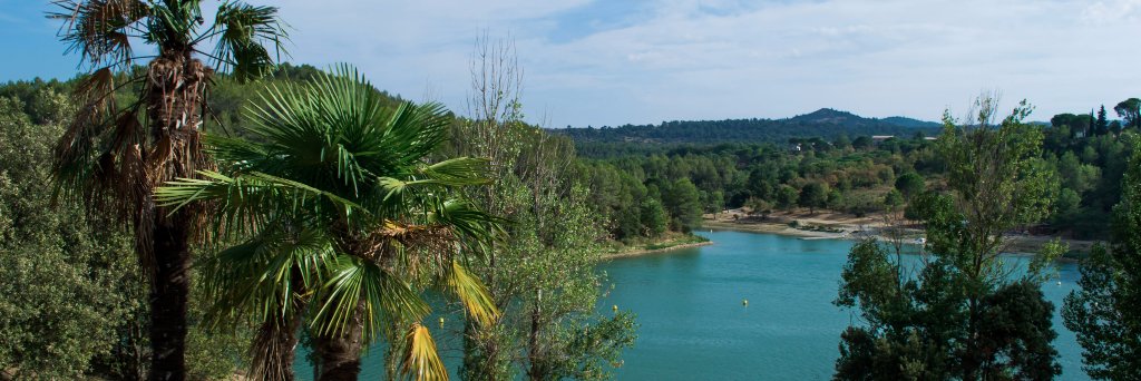 austraplesa's profile banner image