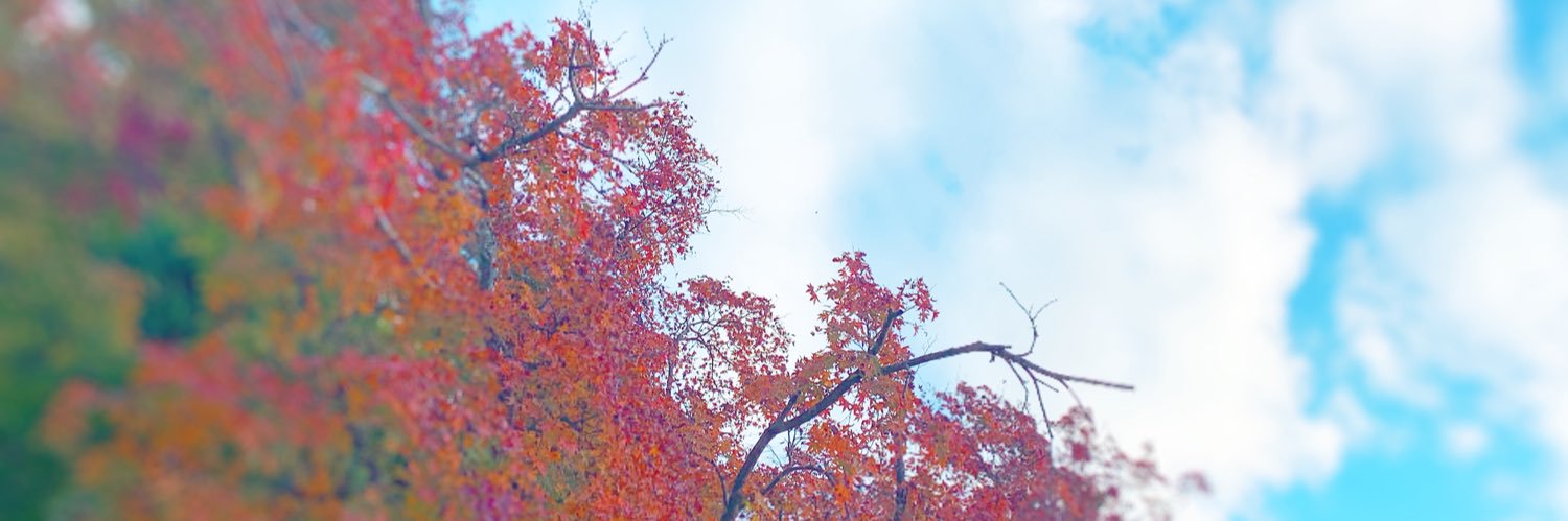 mktn428's profile banner image