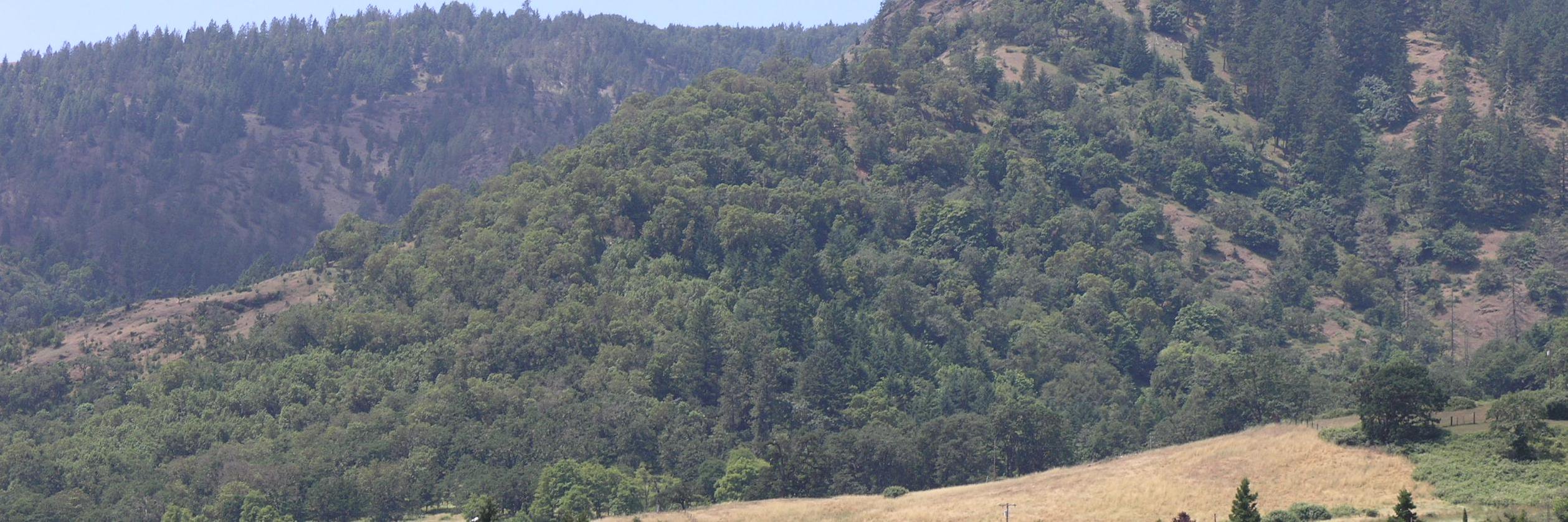 John Vandermosten banner