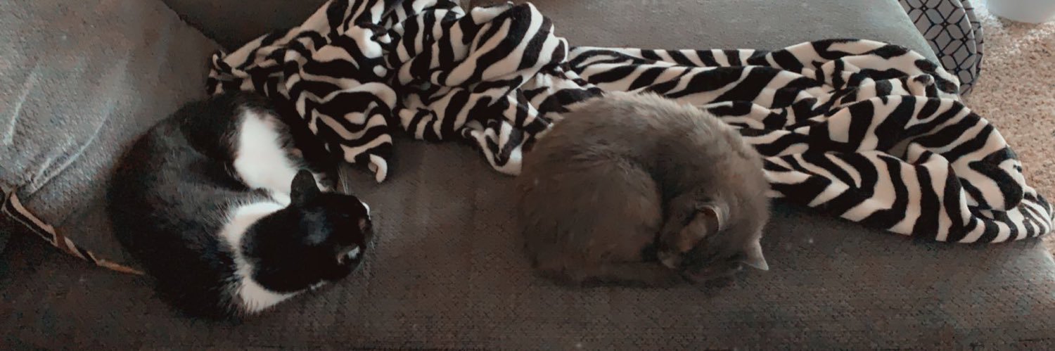 httptaylorlowe's profile banner image
