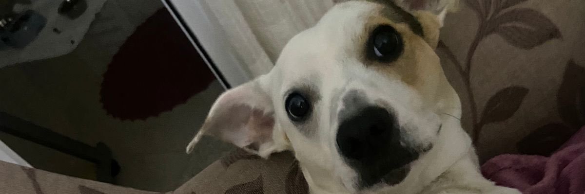 anallaura___'s profile banner image